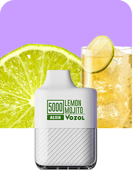 LEMON MOJİTO