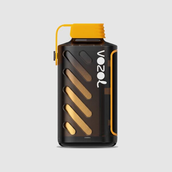 Vozol Gear Power 20000